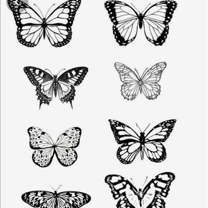 Meet your Posher, Tatum